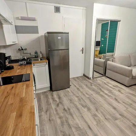 Apartment 3 Personnes En Vallee D'ossau, Piscine Et Jardin Bielle
